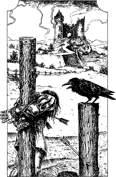 illustration