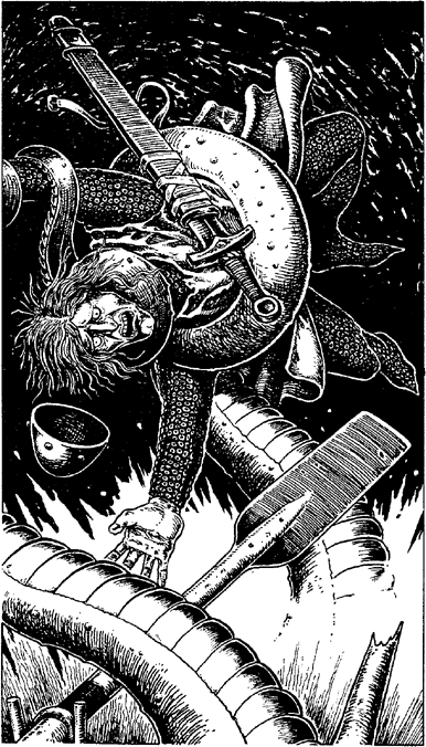 illustration