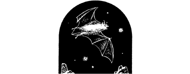 [illustration]